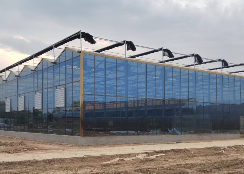 Commercial Glass Greenhouse With Irrigation System