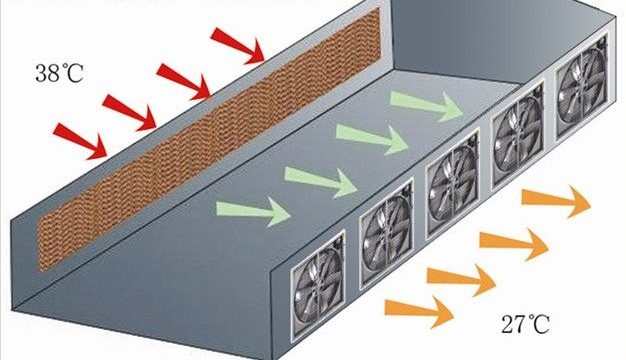 Greenhouse Cooling System