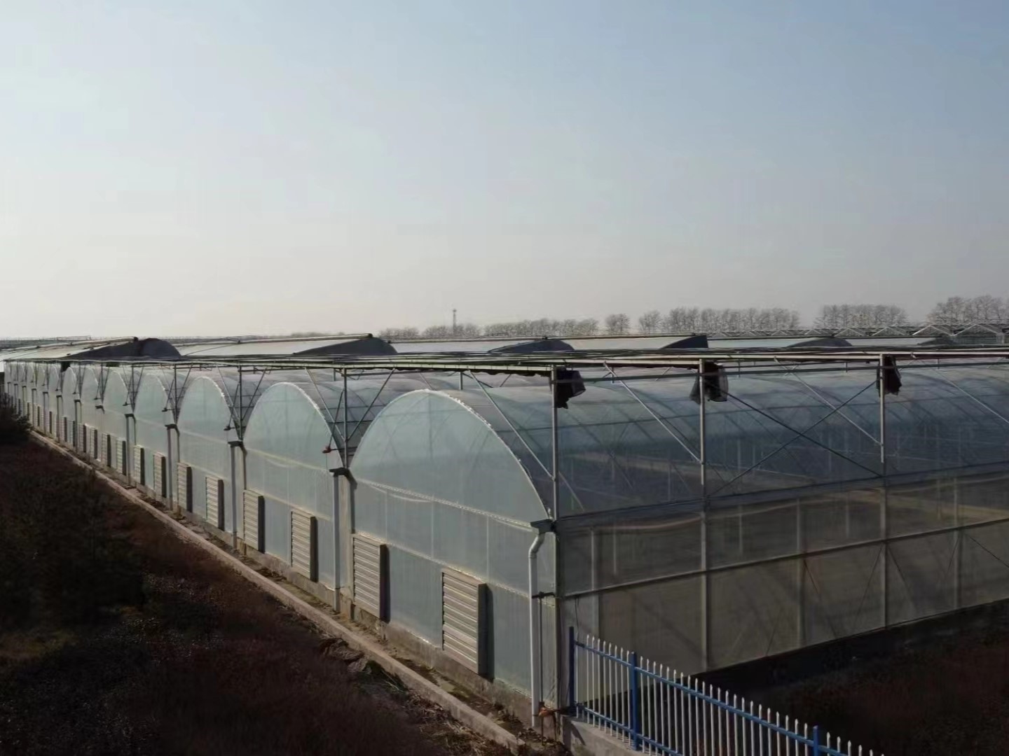 Agricultural Clear Plastic Film Conservatory