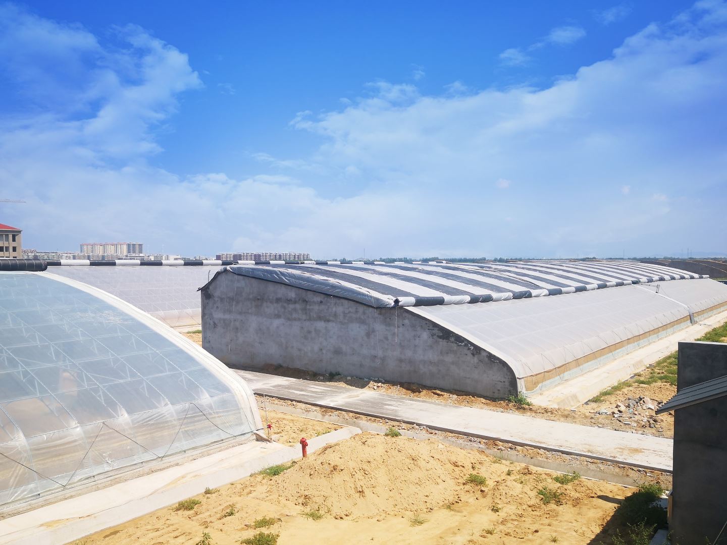 Plastic Film Solar Greenhouse For Tomato