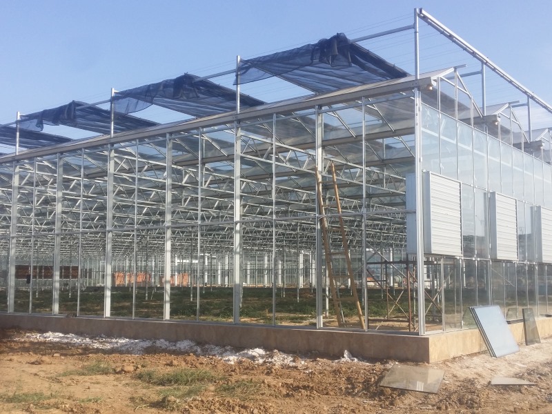 Agricultural Greenhouse