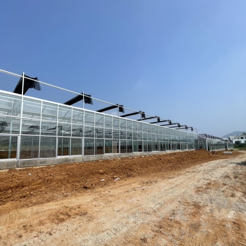 Large Glass Greenhouse