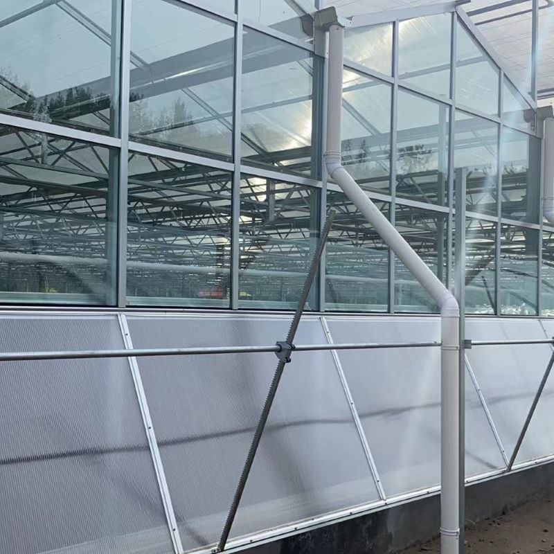 Large Glass Greenhouse