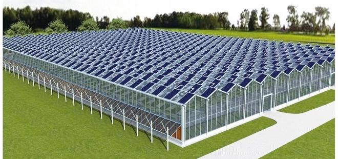 Photovoltaic Greenhouse