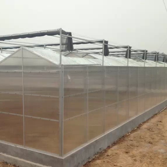 Polycarbonate Sheet Greenhouse