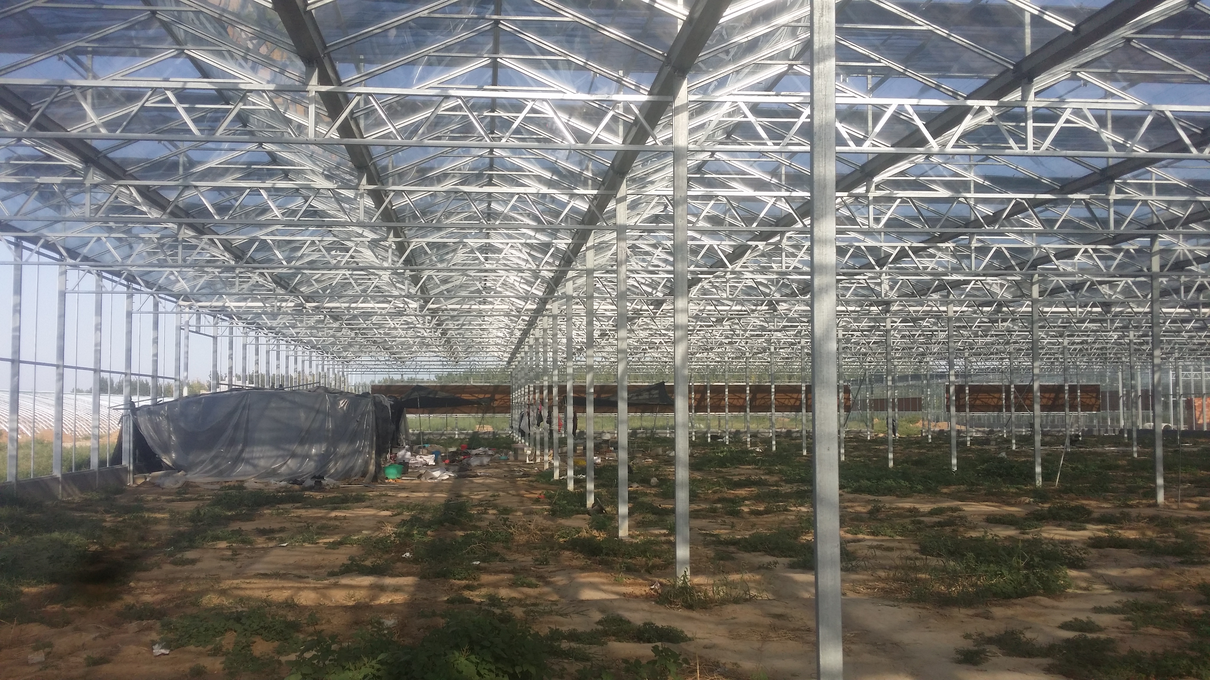 Greenhouse Shading