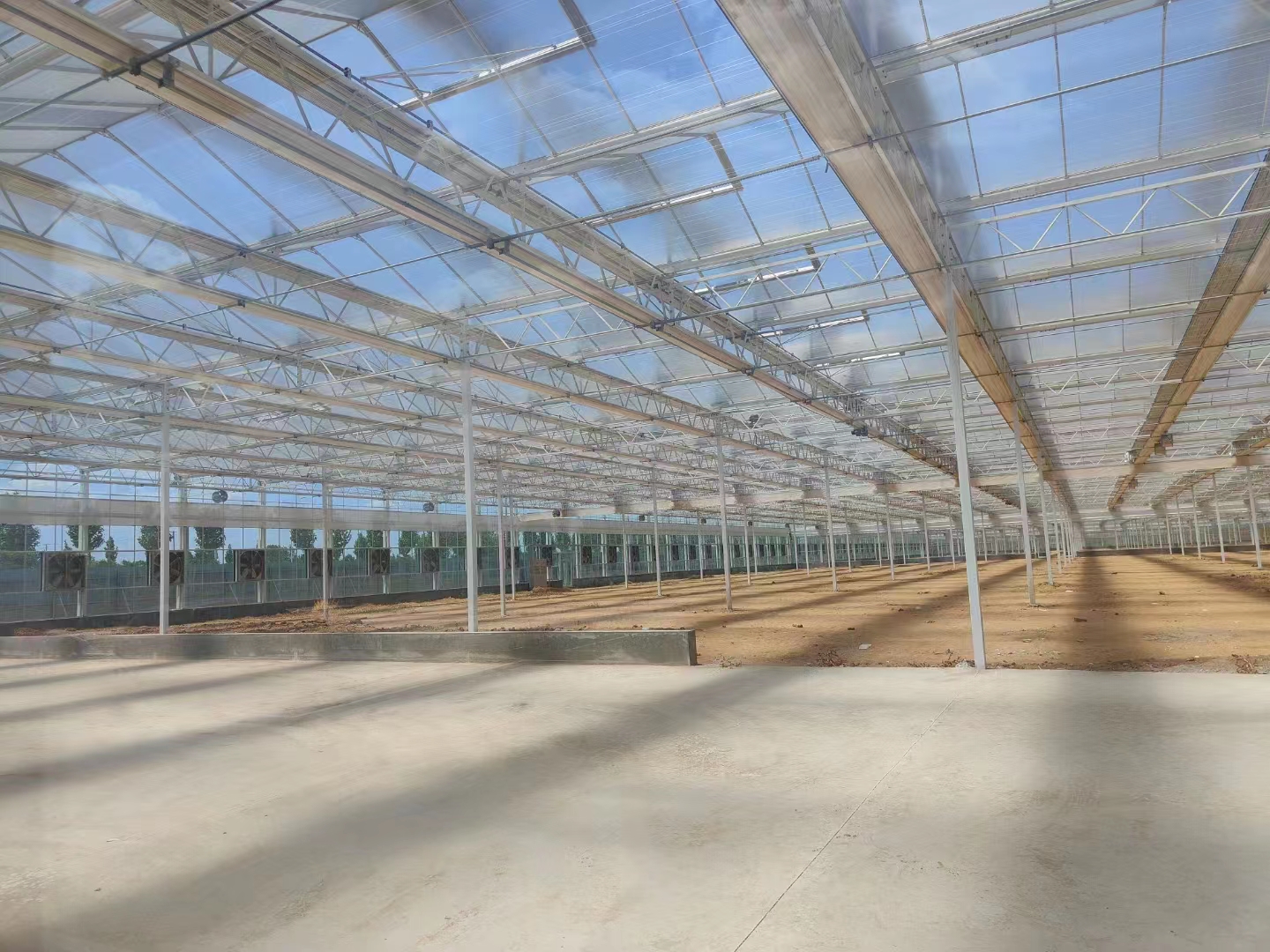 Glass Roof greenhouse