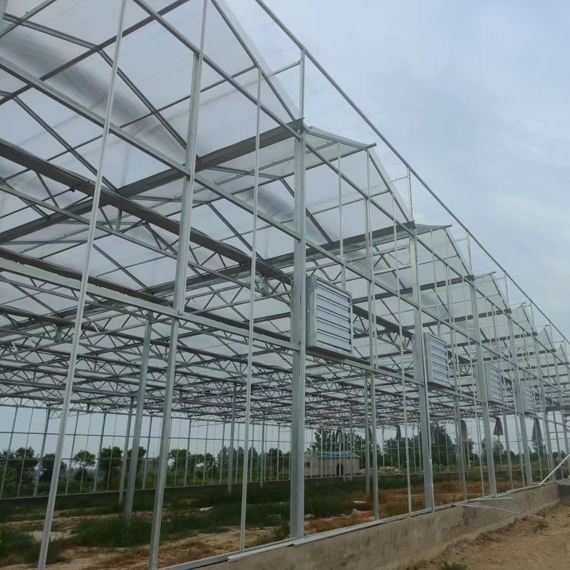 Solar Panel Greenhouse