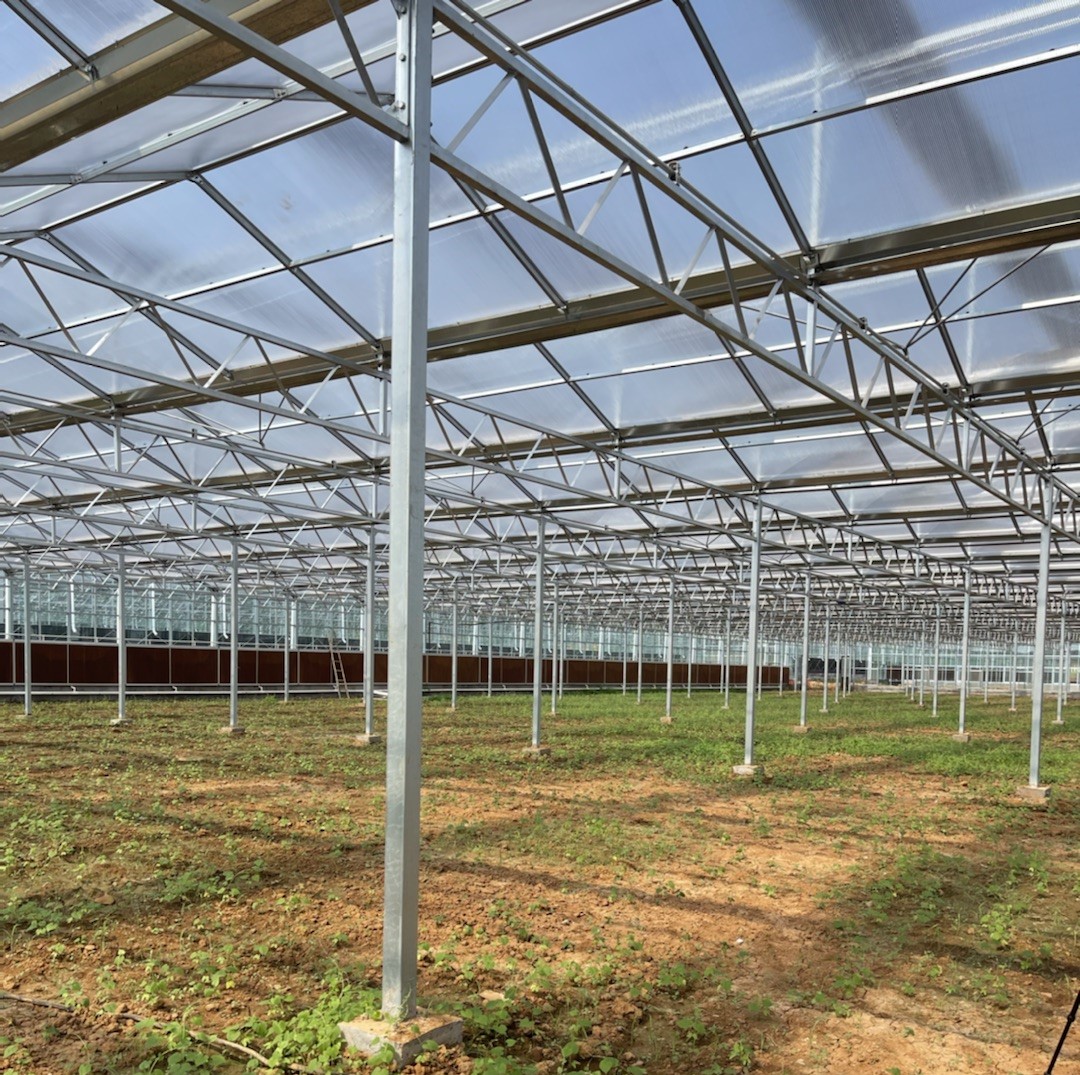 Arch Type Greenhouse