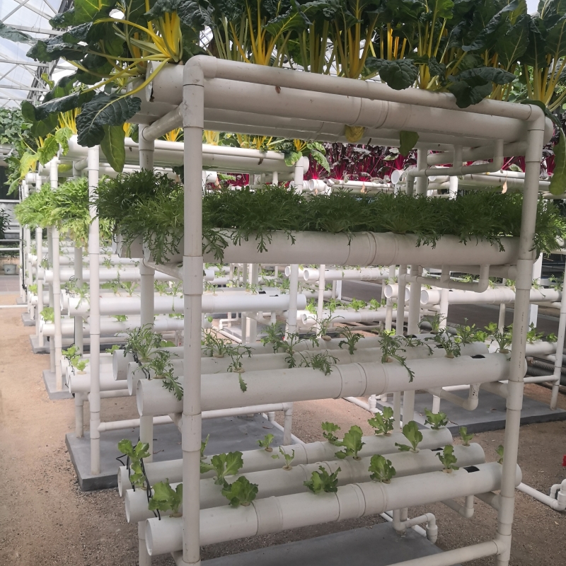 NFT Hydroponic Channel