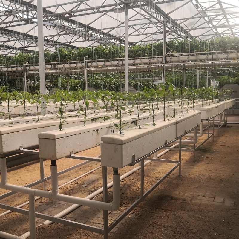 NFT Hydroponic Channel