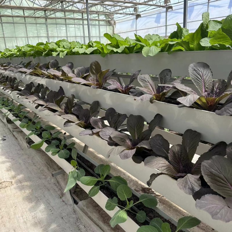 A Frame Farming Gutter NFT Hydroponic System