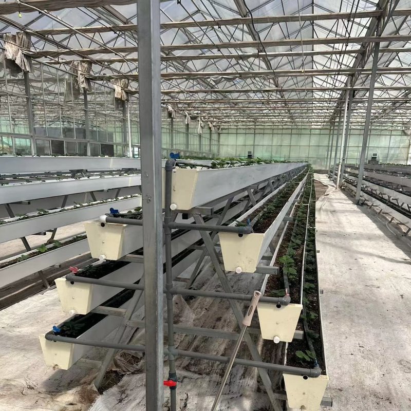 A Frame Farming Gutter NFT Hydroponic System