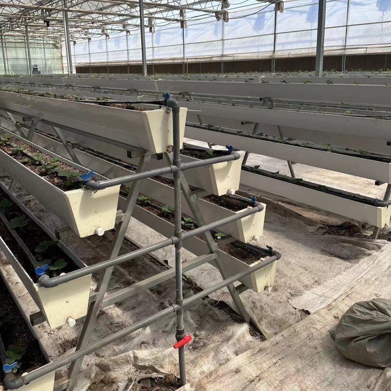 A Frame Farming Gutter NFT Hydroponic System