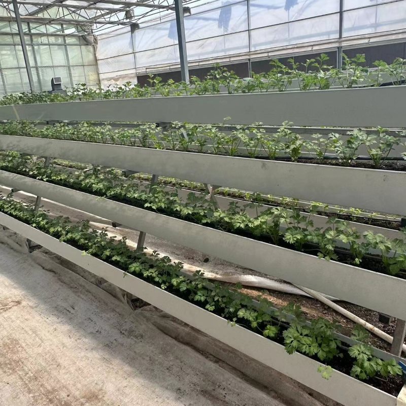 A Frame Farming Gutter NFT Hydroponic System