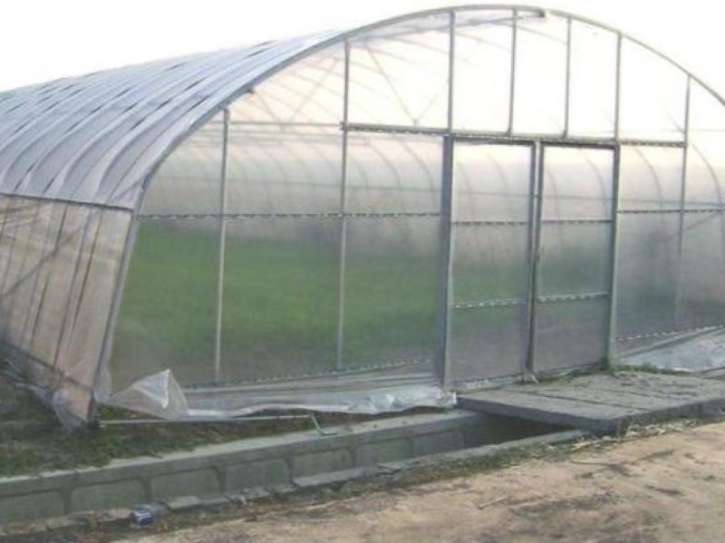 Tunnel Greenhouse