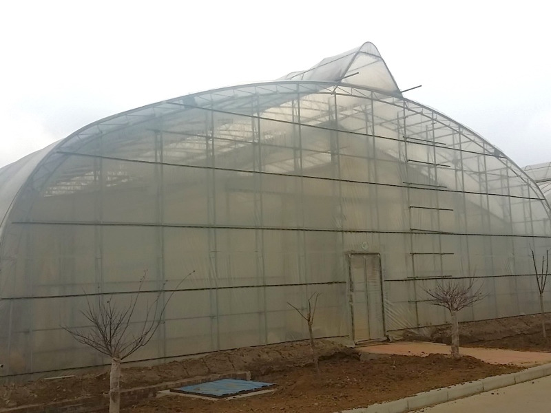 Grow Tunnel Film Greenhouse For Vegetables