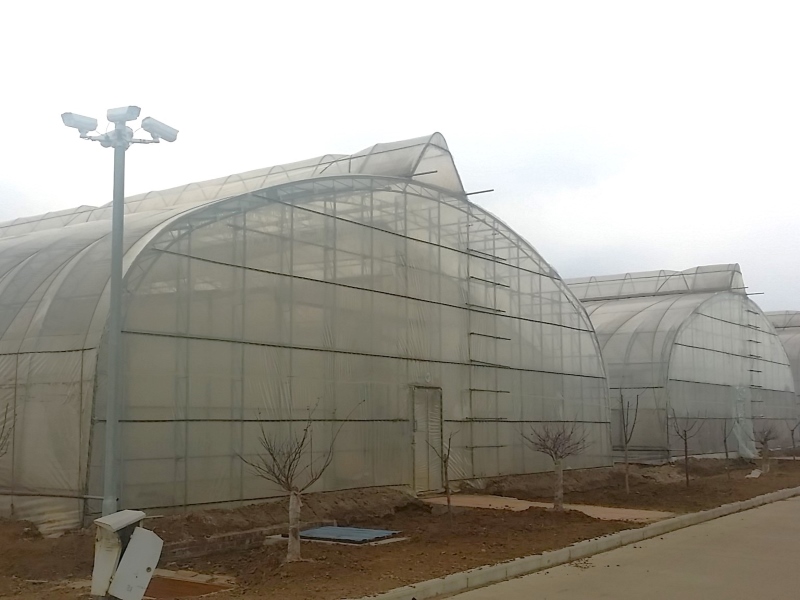 Grow Tunnel Film Greenhouse For Vegetables