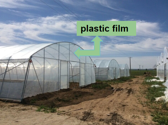 Vegetable greenhouse