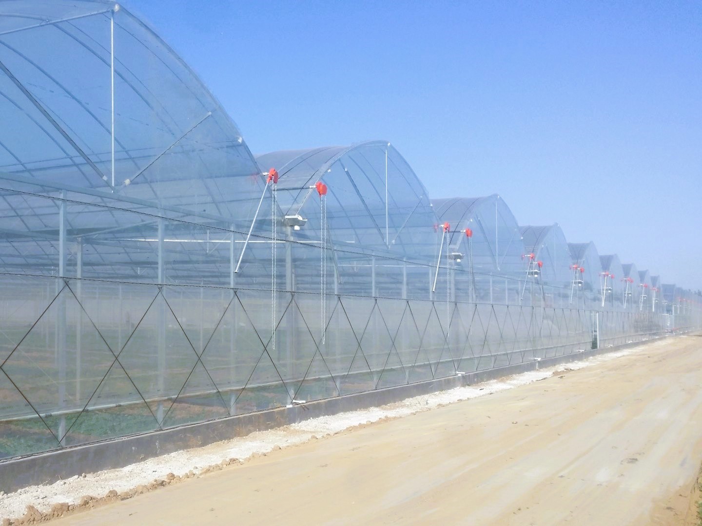 Multi-Span Tunnel Polyethylene Film Greenhouse