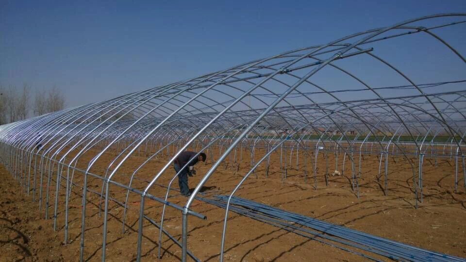 Arch greenhouse