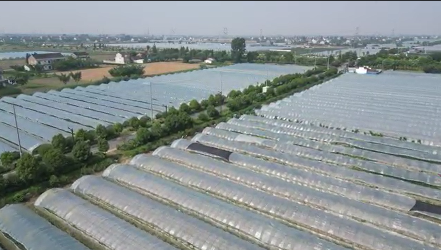 PolyTunnel Greenhouse