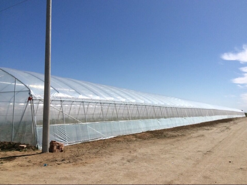 Plastic Wrap Greenhouse For Lettuce Planting