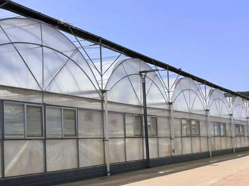 Agricultural Clear Plastic Film Conservatory