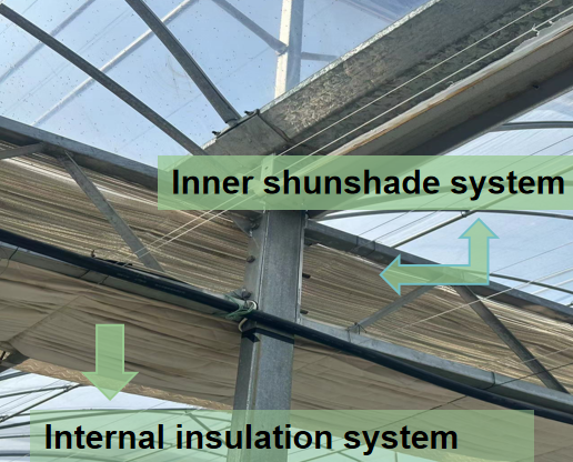 Insulated Greenhouse