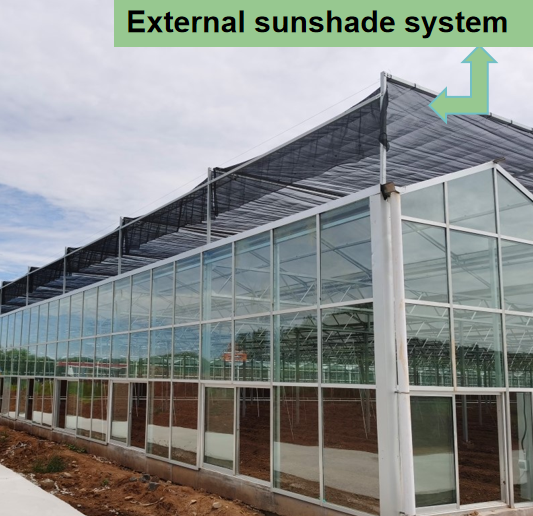 Glass Panels greenhouse