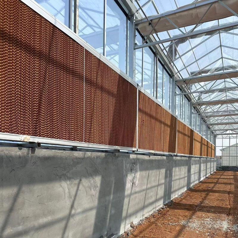 Glass Panels greenhouse