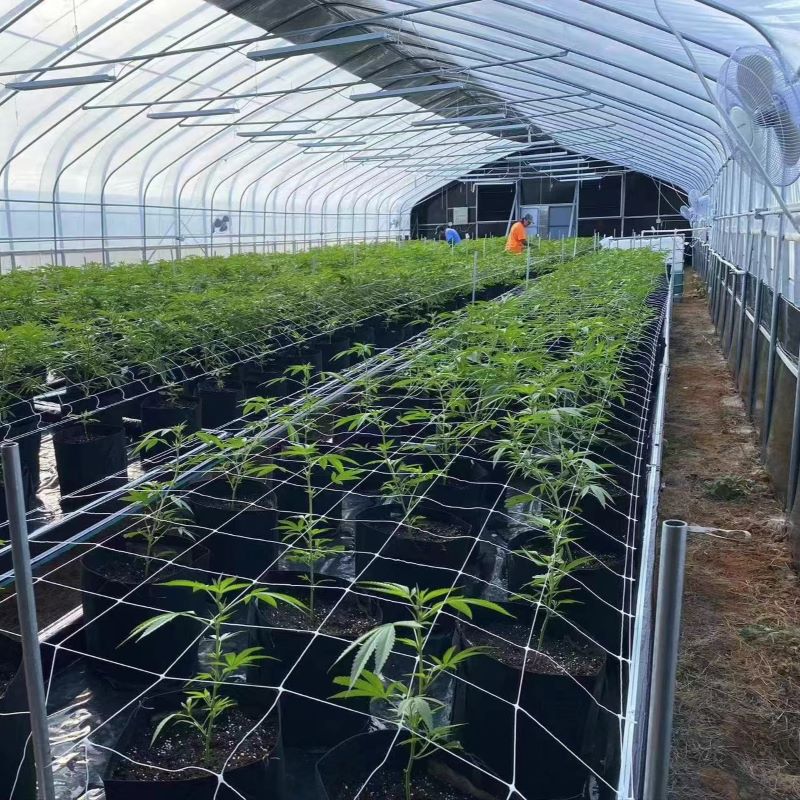 Polytunnel Blackout Shade Greenhouse