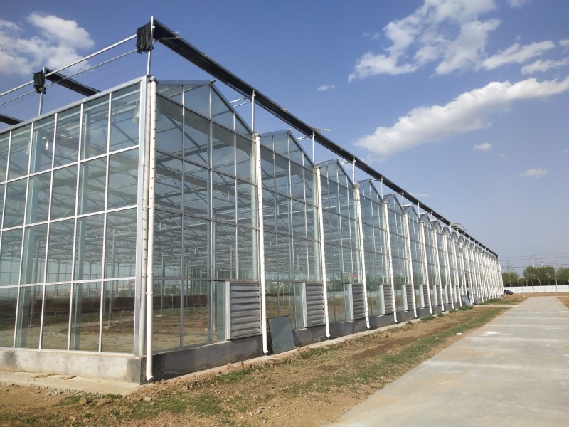 Rectangular Greenhouse