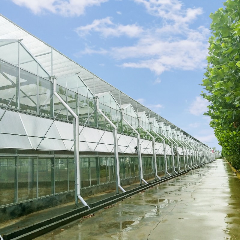 Photovoltaic Panel Glass Winter Greenhouse