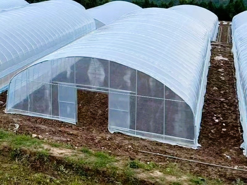 Dome Small Polytunnel Greenhouse