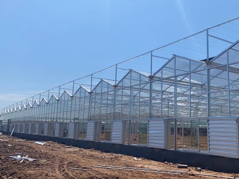 Polycarbonate Sheet Greenhouse With Greenhouse Shading System