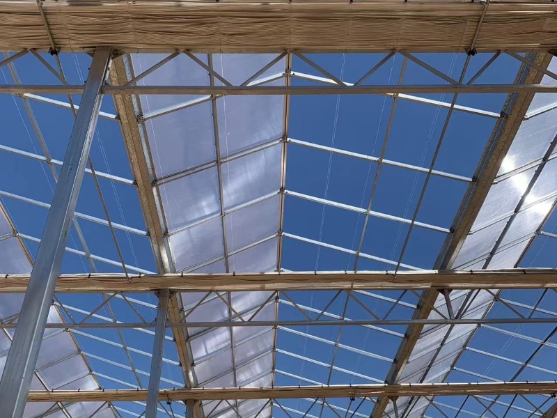 Polycarbonate Sheet Greenhouse