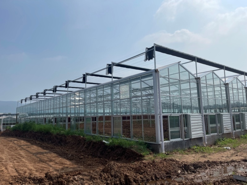 Clear Polycarbonate Greenhouse