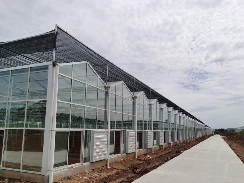 Agricultural Glass greenhouse With Heating System