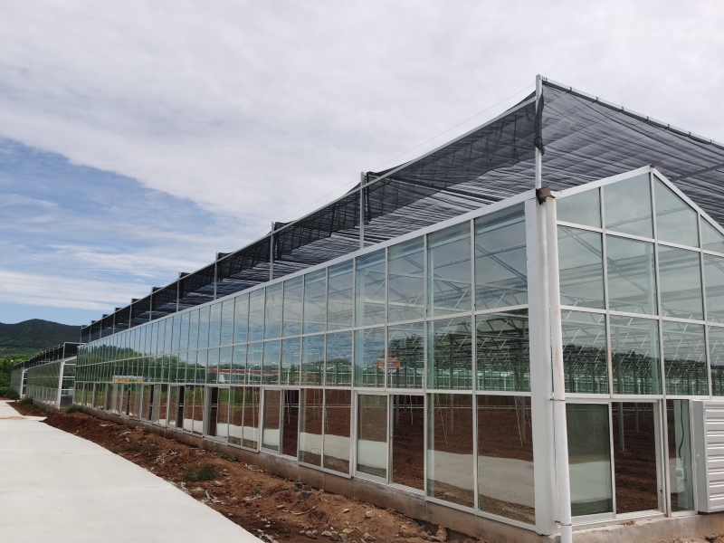 Agricultural Glass greenhouse With Heating System