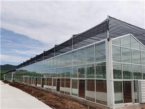 Agricultural Glass greenhouse With Heating System