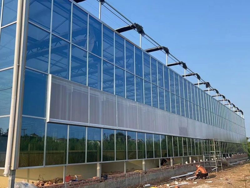 Commercial Glass Greenhouse With Irrigation System