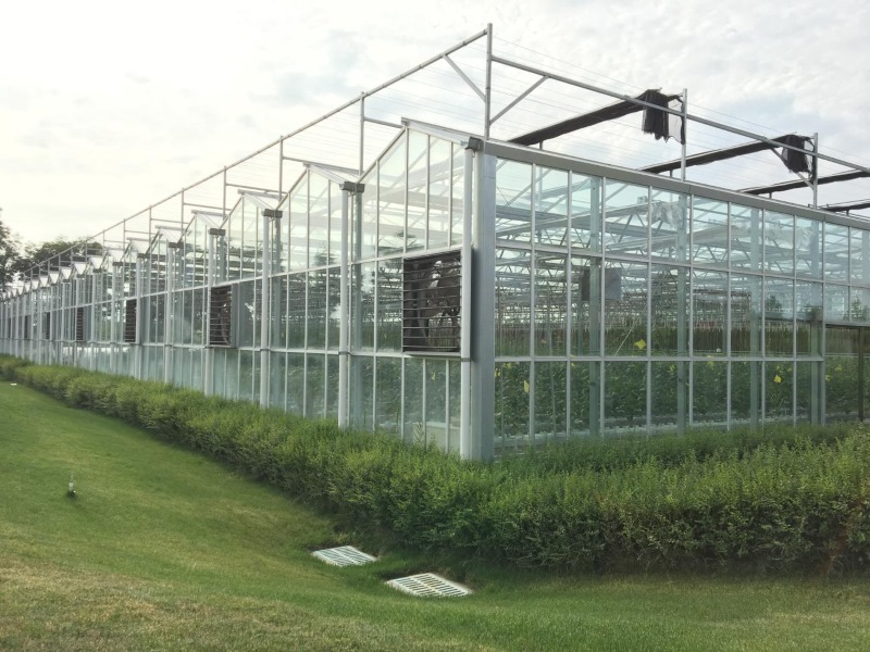 Polycarbonate Board Agriculture Greenhouse For Hydroponics