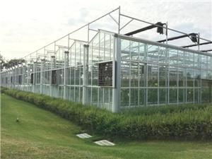 Polycarbonate Board Agriculture Greenhouse For Hydroponics