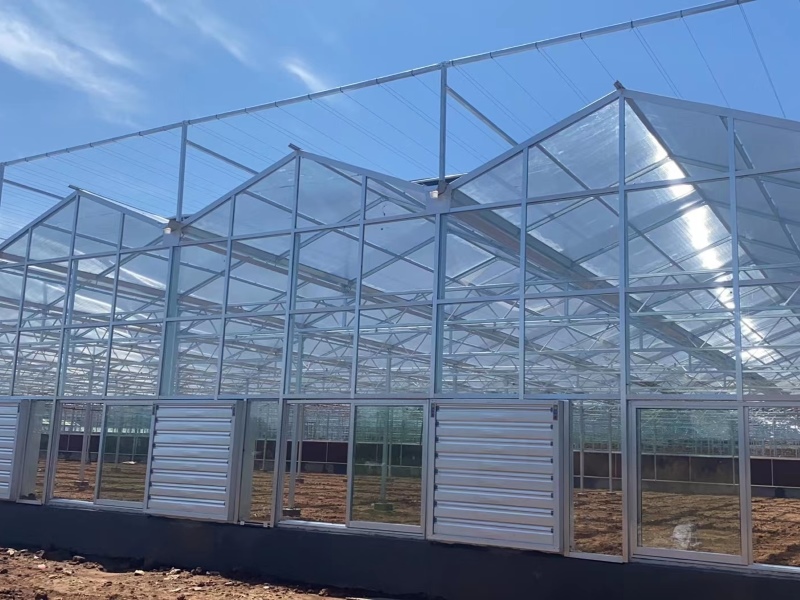 Polycarbonate Sheet Greenhouse With Greenhouse Shading System