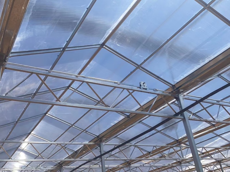 PC Sheet Side And Glass Roof Greenhouse