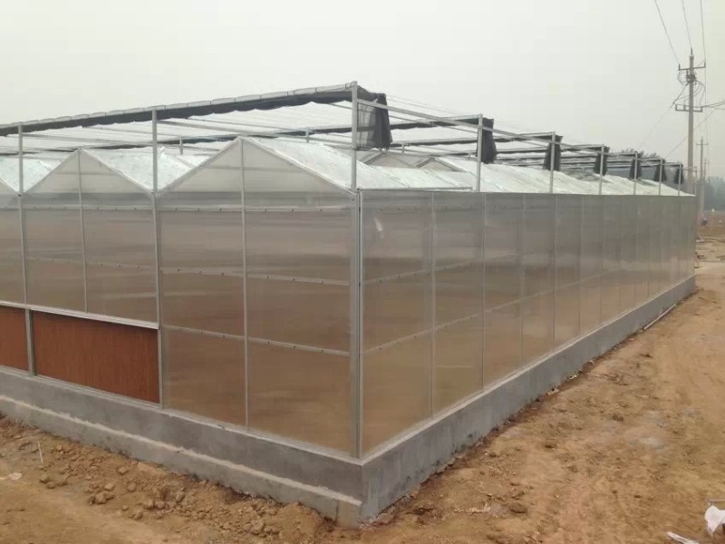 Polycarbonate Board Agriculture Greenhouse For Hydroponics