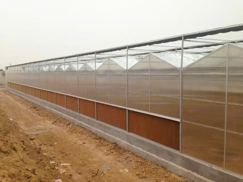 Polycarbonate Board Agriculture Greenhouse For Hydroponics