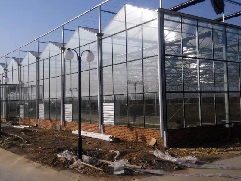 Polycarbonate Board Agriculture Greenhouse For Hydroponics