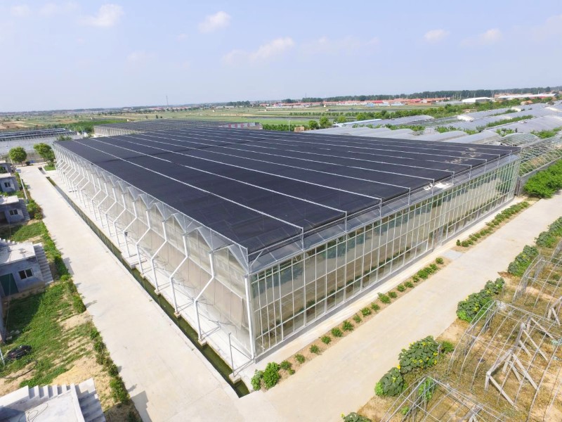 Arch Type Polycarbonate Sheet Greenhouse